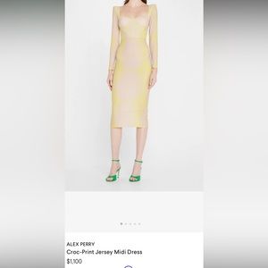 Alex Perry Dress